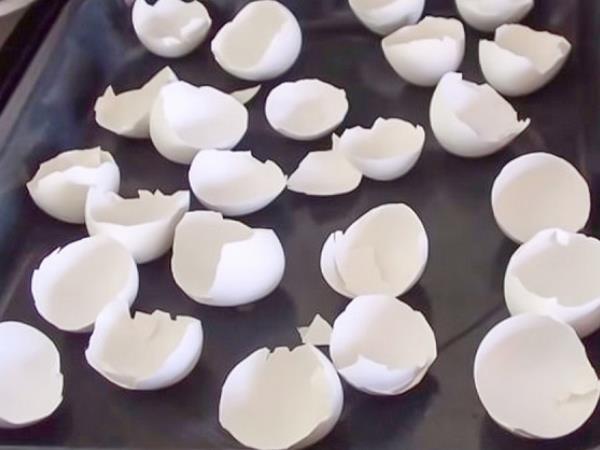 Ne zavrzite jajčnih lupin, raje jih specite